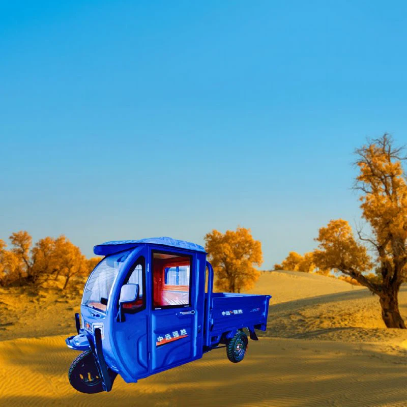 Three Wheeled Freight Electric Vehicles